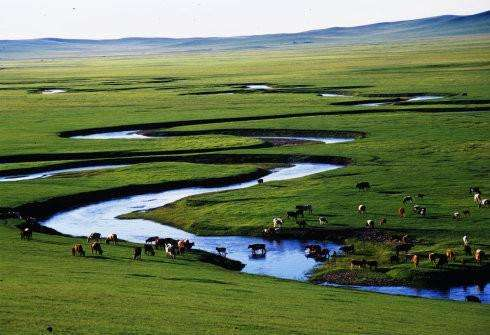 我在內蒙古地區能不能用cors賬號？