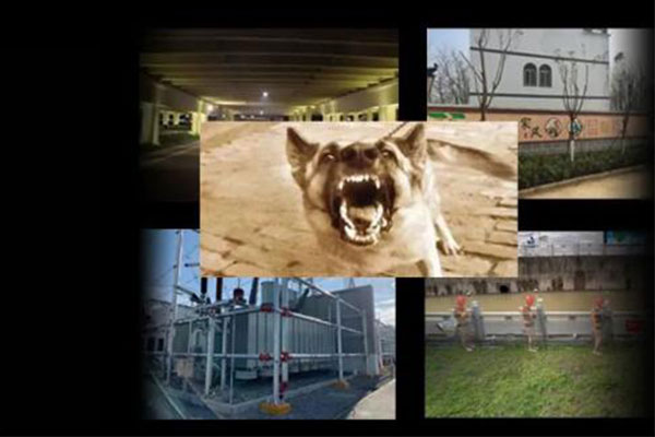 中海達影像小碟RTK來了，測量+放樣一步到位，開啟RTK影像新時代